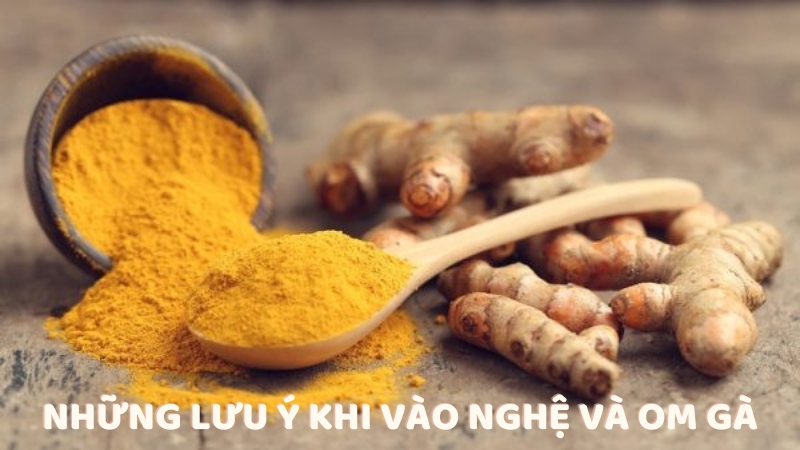 Những lưu ý khi vào nghệ và om gà