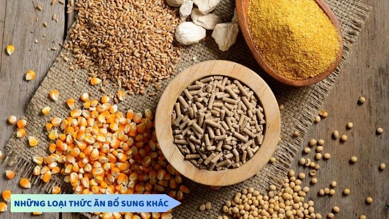 Những loại thức ăn bổ sung khác